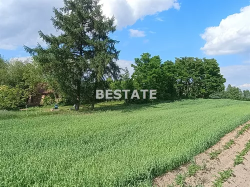 BESP-GS-15490 - zdjęcie nr 0