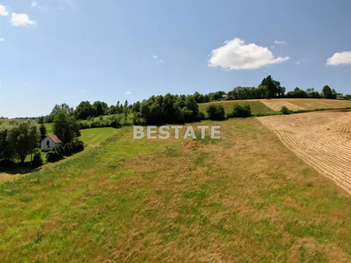BEST-GS-12058 - zdjęcie nr 0