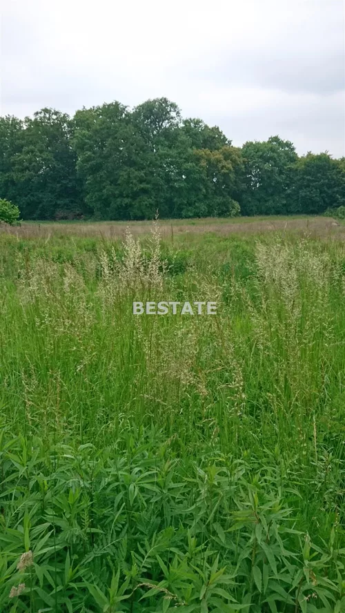 BESW-GS-13121 - zdjęcie nr 0