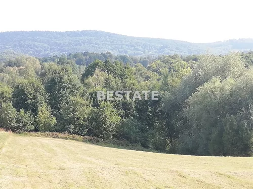 BEST-GS-13154 - zdjęcie nr 0