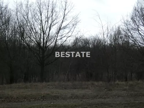 BEST-GS-12397-2 - zdjęcie nr 0