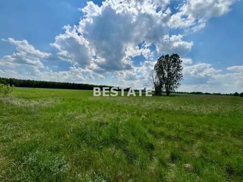 BESP-GS-15463 - zdjęcie nr 0