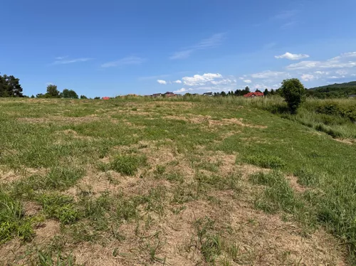 10330259 - zdjęcie nr 0