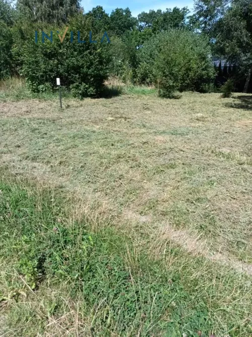 IN893428 - zdjęcie nr 0
