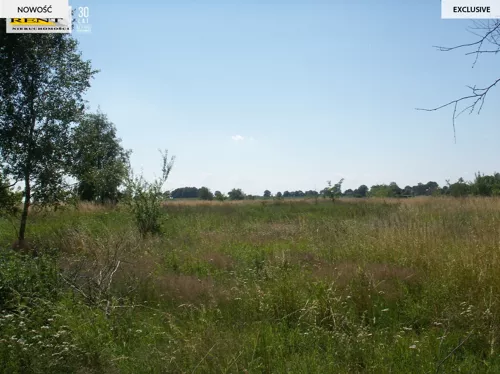3773/7376/OGS - zdjęcie nr 0