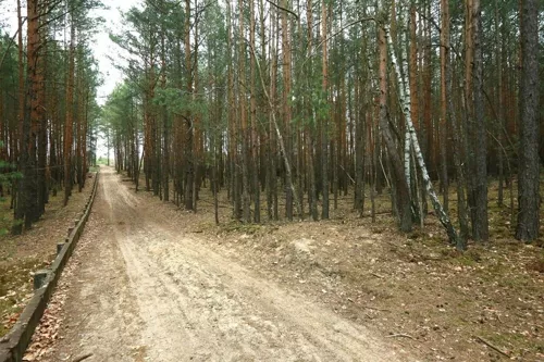 REMAX-122-GS-AMBER - zdjęcie nr 0