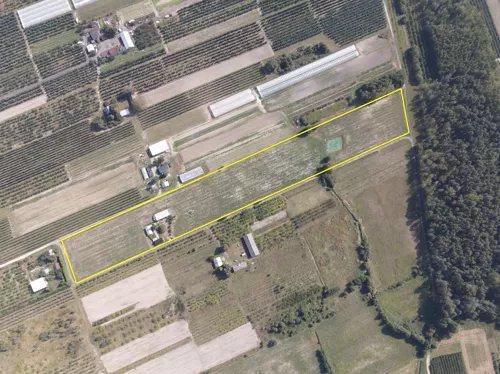 REMAX-1854/4565/OGS - zdjęcie nr 0