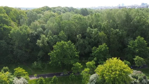 REMAX-EXPERTS-I-446/3953/OGS - zdjęcie nr 0