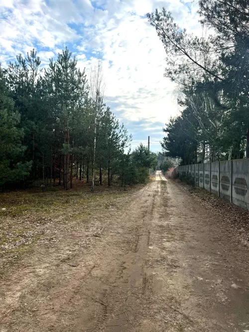 REMAX-50-GS-BEST - zdjęcie nr 0