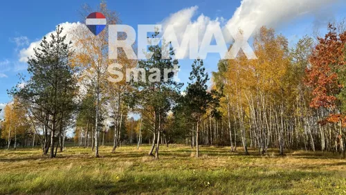 REMAX-SMART-I-374/7675/OGS - zdjęcie nr 0