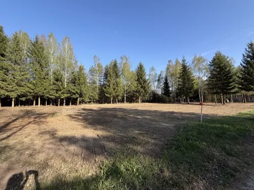 REMAX-909/3992/OGS - zdjęcie nr 0