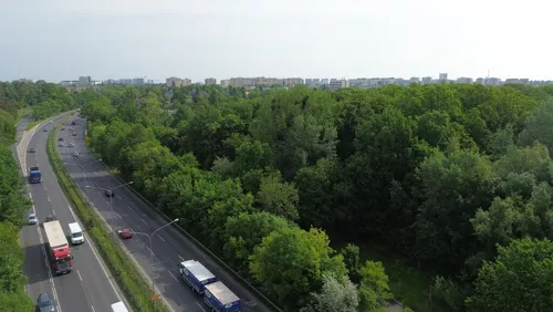 REMAX-EXPERTS-I-500/3953/OGS - zdjęcie nr 0