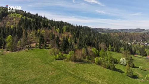 REMAX-425-GS-INVEST - zdjęcie nr 0