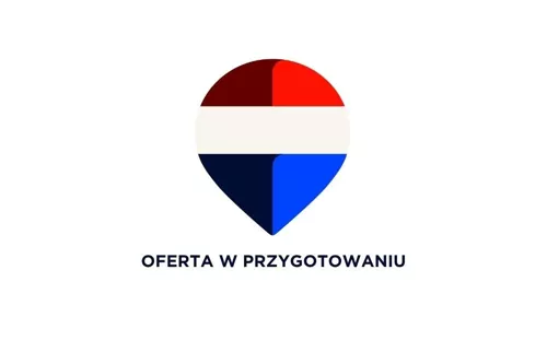 REMAX-206-GS-DUO001 - zdjęcie nr 0