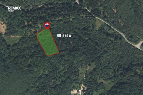REMAX-442-GS-INVEST - zdjęcie nr 0