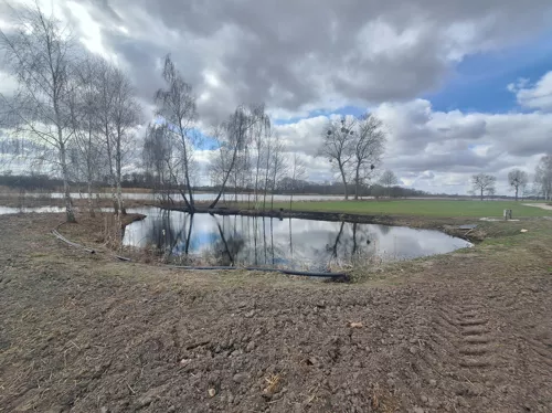 REMAX-1886/4565/OGS - zdjęcie nr 0
