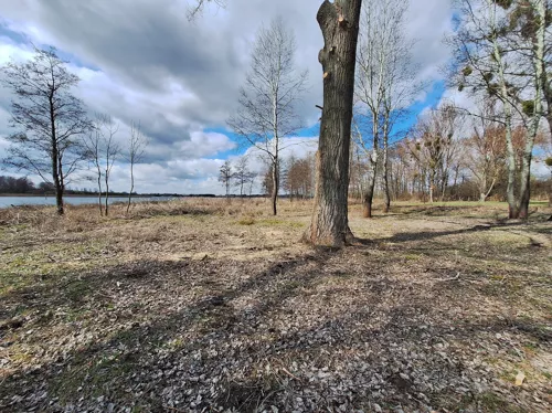 REMAX-1891/4565/OGS - zdjęcie nr 0