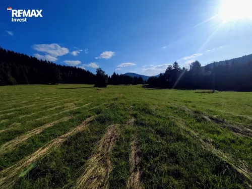 REMAX-377-GS-INVEST - zdjęcie nr 0