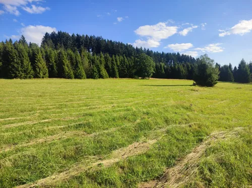 REMAX-397-GS-INVEST - zdjęcie nr 0