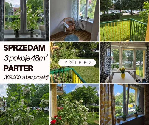 10516493 - zdjęcie nr 0