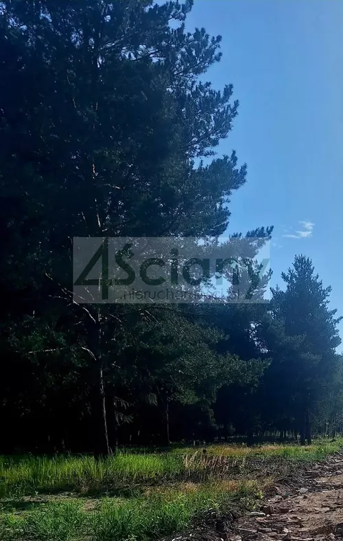 10615/3098/OGS - zdjęcie nr 0