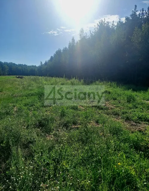 10616/3098/OGS - zdjęcie nr 0