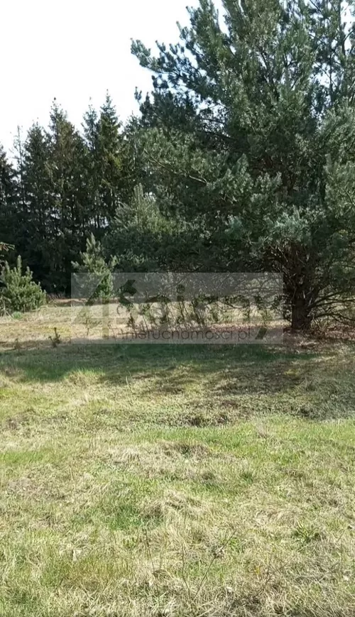 10191/3098/OGS - zdjęcie nr 0