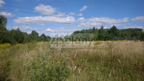 6569/3098/OGS - zdjęcie nr 0