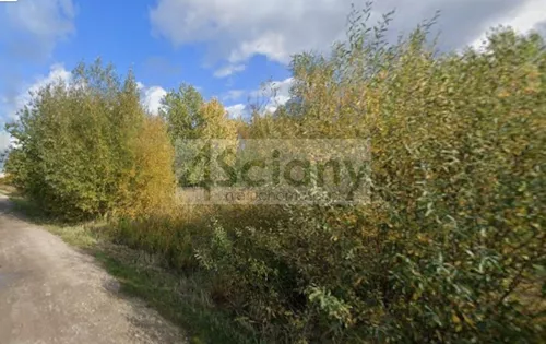 10600/3098/OGS - zdjęcie nr 0