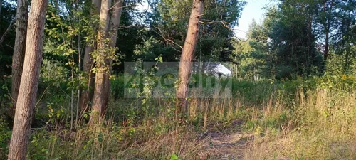 8890/3098/OGS - zdjęcie nr 0