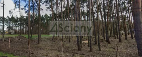 9796/3098/OGS - zdjęcie nr 0