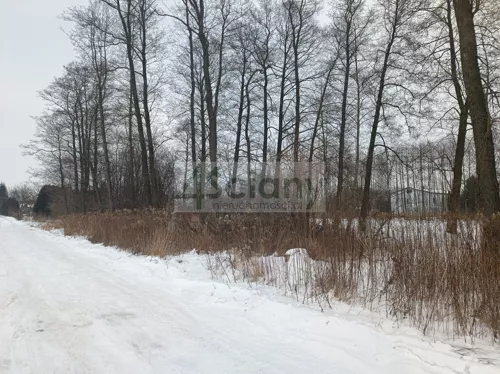 9852/3098/OGS - zdjęcie nr 0