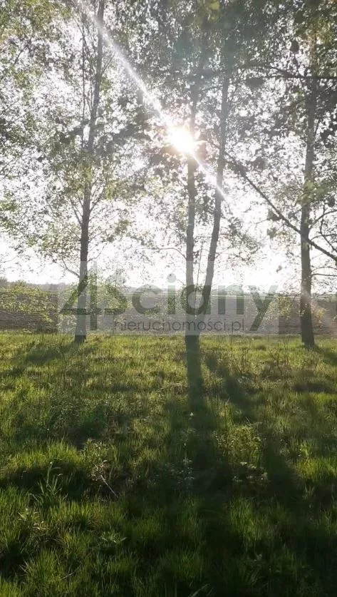 10639/3098/OGS - zdjęcie nr 0
