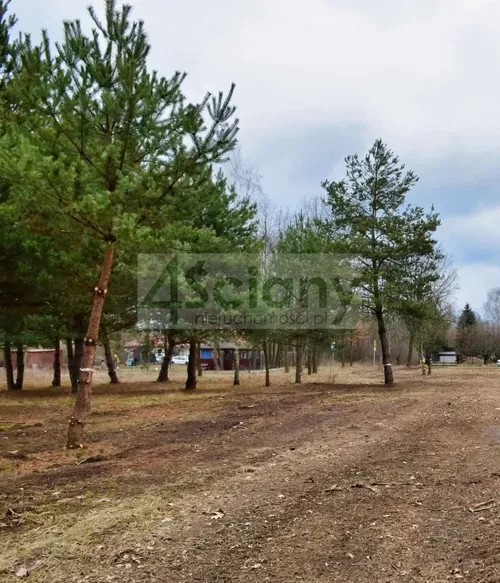 10307/3098/OGS - zdjęcie nr 0
