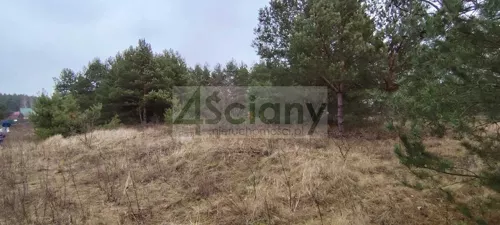9844/3098/OGS - zdjęcie nr 0