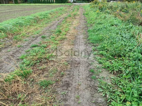 10663/3098/OGS - zdjęcie nr 0