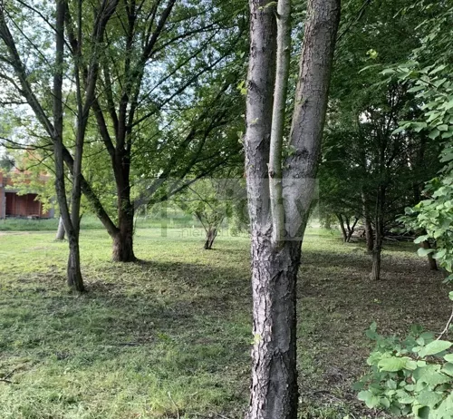 10583/3098/OGS - zdjęcie nr 0