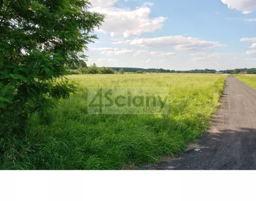 7125/3098/OGS - zdjęcie nr 0