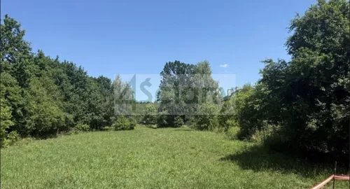 10585/3098/OGS - zdjęcie nr 0