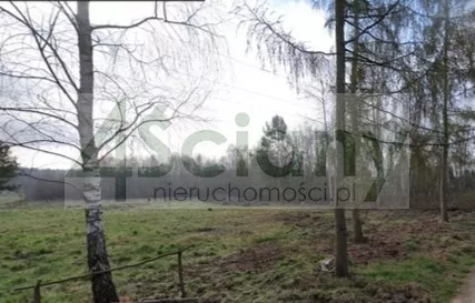 10391/3098/OGS - zdjęcie nr 0