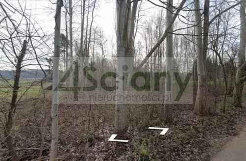 10392/3098/OGS - zdjęcie nr 0