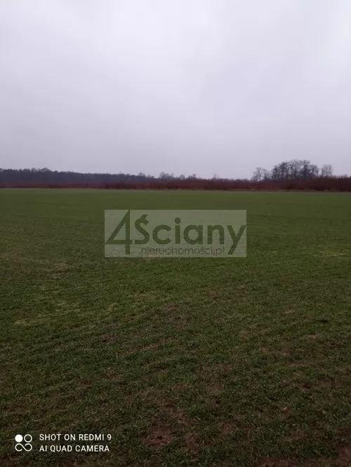 7918/3098/OGS - zdjęcie nr 0