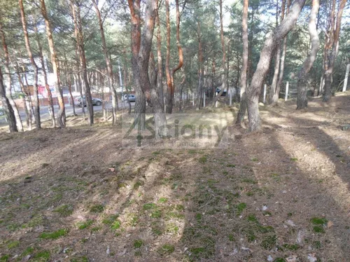 10521/3098/OGS - zdjęcie nr 0