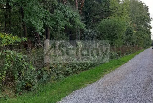 7687/3098/OGS - zdjęcie nr 0