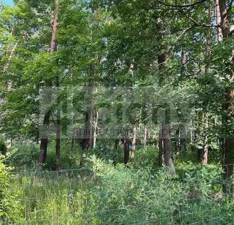 10334/3098/OGS - zdjęcie nr 0