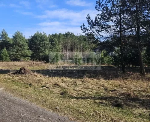 9215/3098/OGS - zdjęcie nr 0