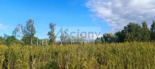 10640/3098/OGS - zdjęcie nr 0