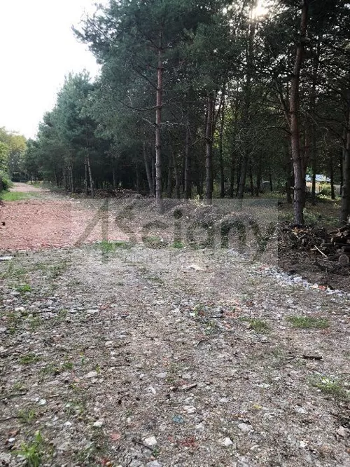 9678/3098/OGS - zdjęcie nr 0