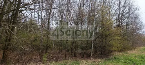 9589/3098/OGS - zdjęcie nr 0