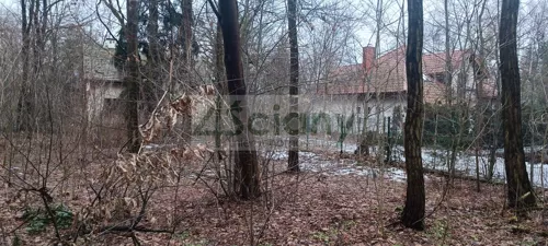 10360/3098/OGS - zdjęcie nr 0